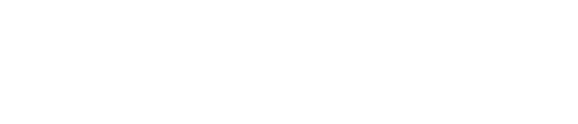 CCM LOGO